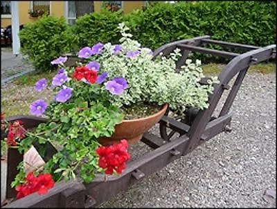 祖姆赫希酒店及餐厅 招待所